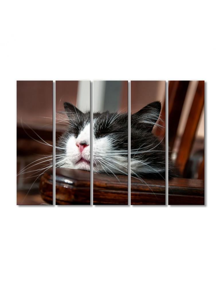 Картина модульная Спящий кот 5 модулей 90x135 см Картина модульная Спящий кот 5 модулей 90x135 см