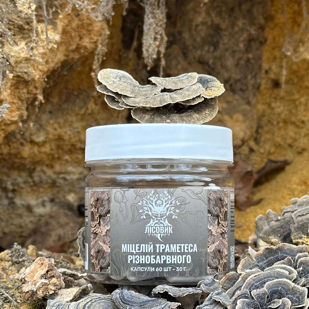 Капсули Лісовик міцелію Траметеса різноколірного 60 шт. по 0,5 г (481498)