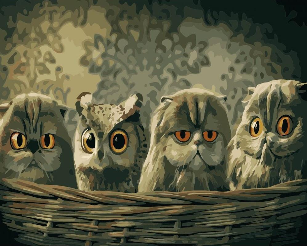 Картина по номерам Art Story Маскировки 40х50 см (AS0556)