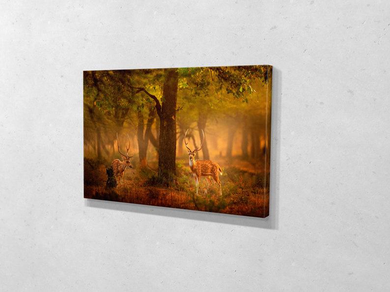 Картина для интерьера Олени в лесу 80x54 см (700)