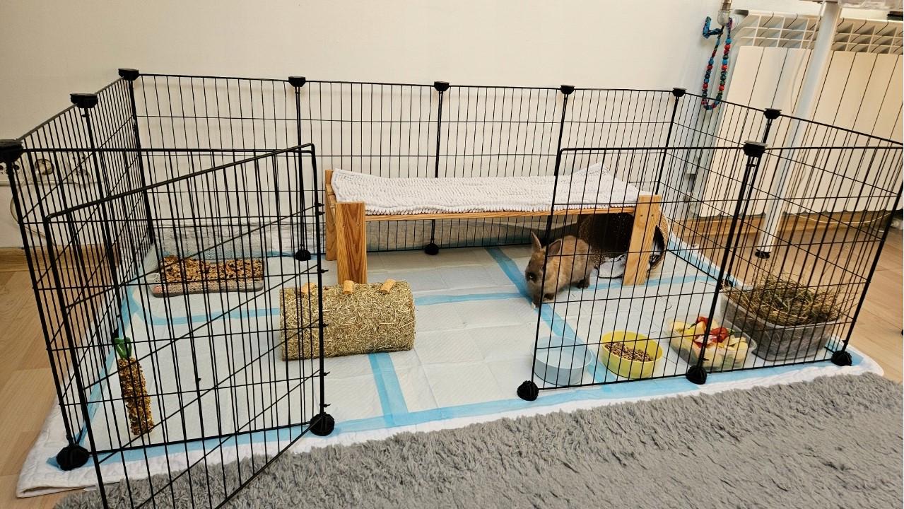 Клітка для гризунів 46х143х73 см - фото 35 Клітка для гризунів 46х143х73 см - фото 35