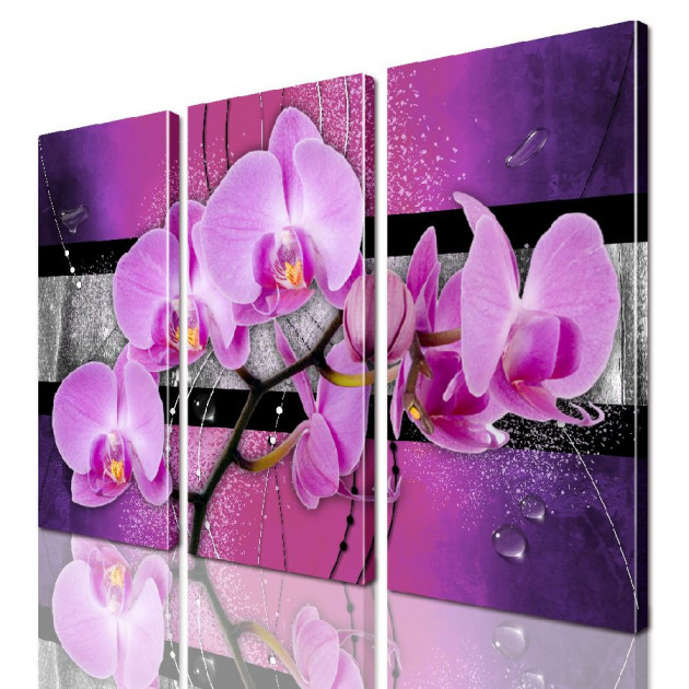 Картина модульная ArtStar Орхидея ADFL0139 150х180 см 3 части