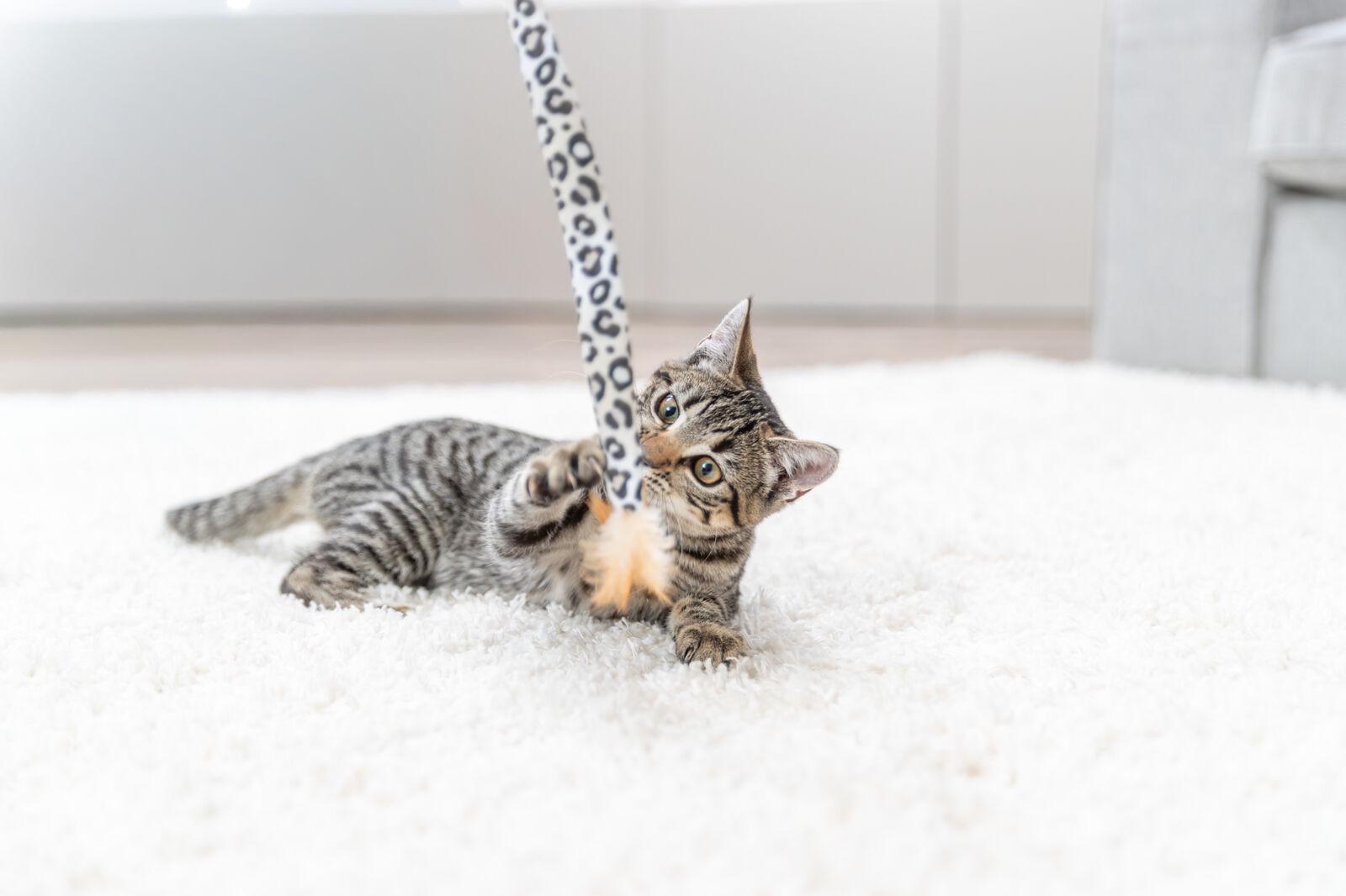 Іграшка для котів Trixie Вудочка-дражнилка 51 см - фото 2 Іграшка для котів Trixie Вудочка-дражнилка 51 см - фото 2