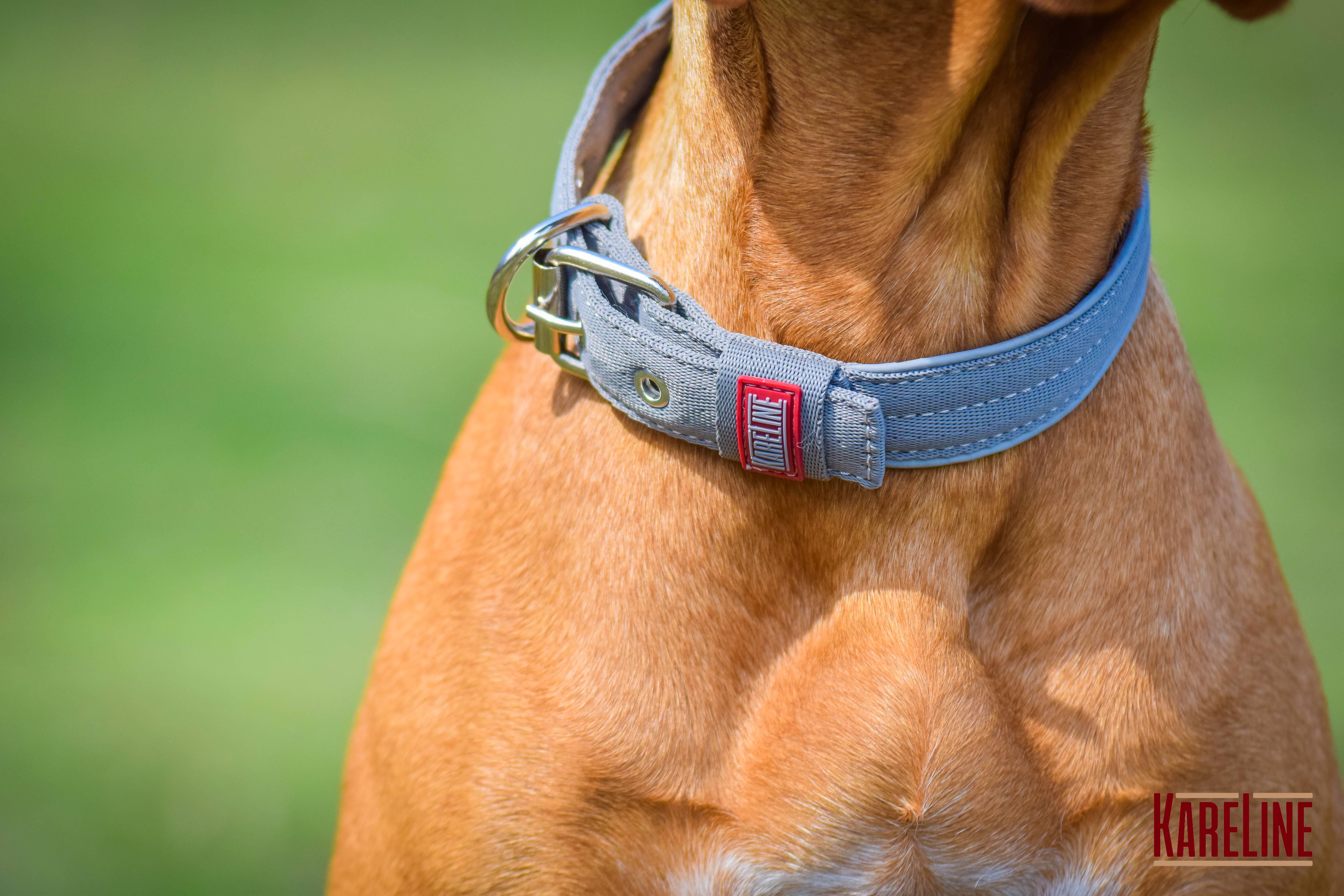 Ошейник KareLine усиленный нейлоновый со светоотражающим кантом 25 мм 380-460 мм Серый (0951/10) - фото 2