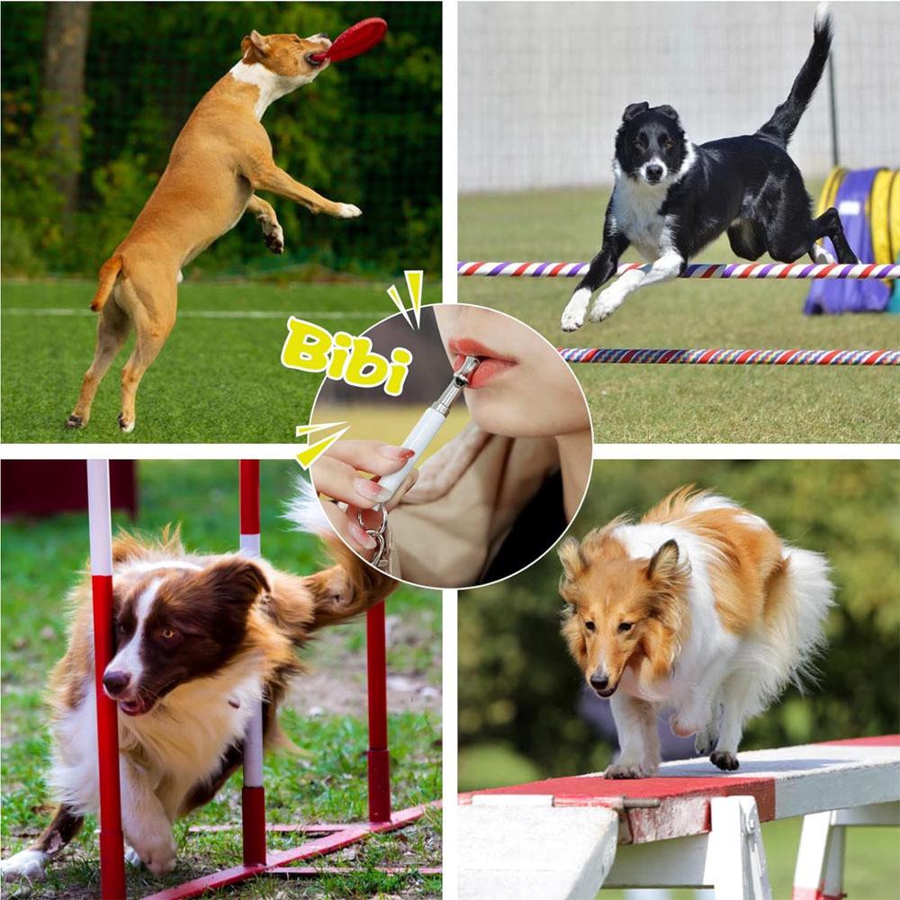 Свисток для дрессировки собак с регулировкой частоты ультразвуковой (138011) - фото 5 Свисток для дрессировки собак с регулировкой частоты ультразвуковой (138011) - фото 5