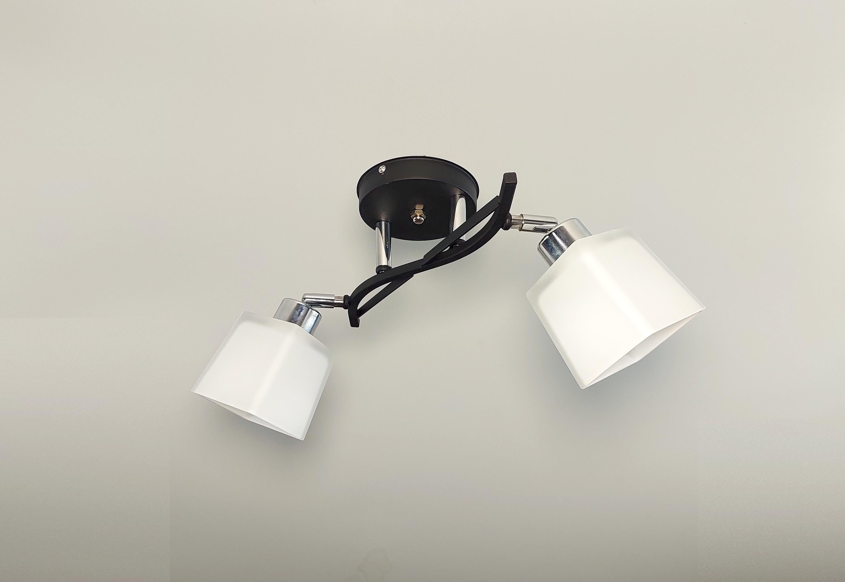 Потолочная люстра на 2 поворотных плафона Черный (5371/2)