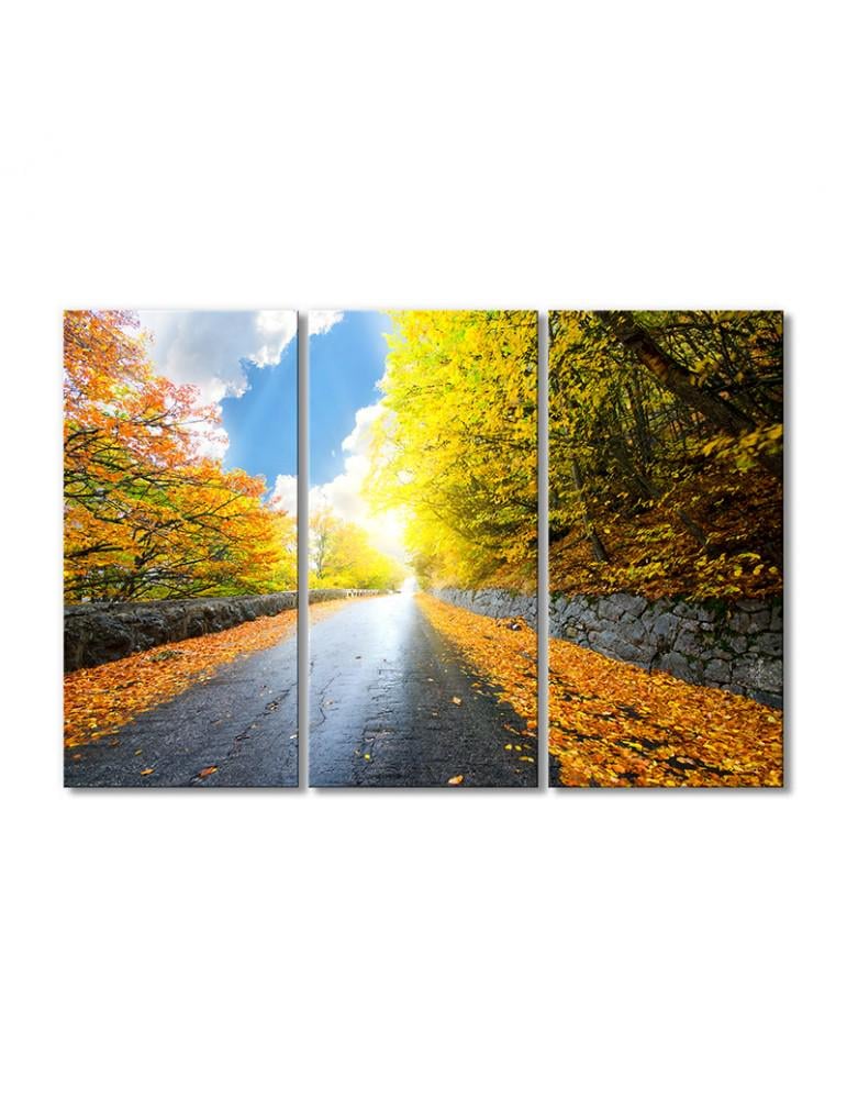 Картина модульная Солнечная осенняя лесная дорога 3 модуля 120x180 см