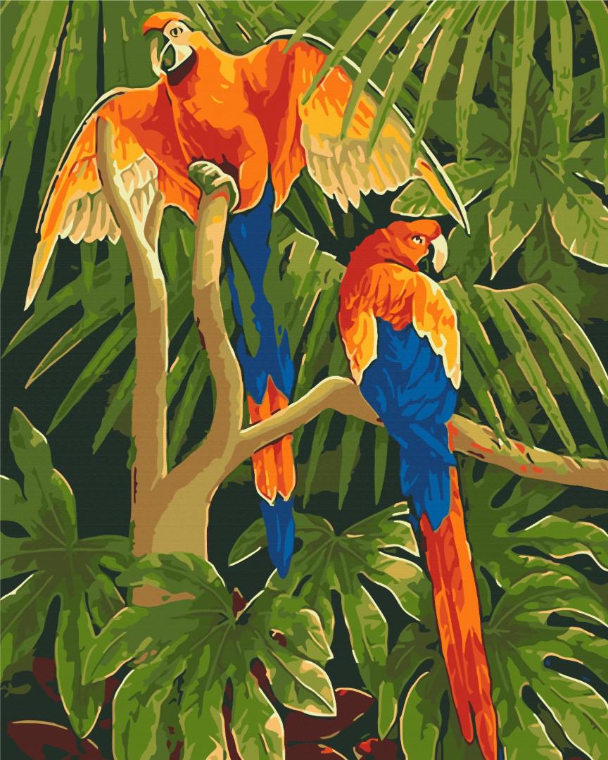 Картина по номерам Brushme Тропические птицы 48x60 см (BS7003L)