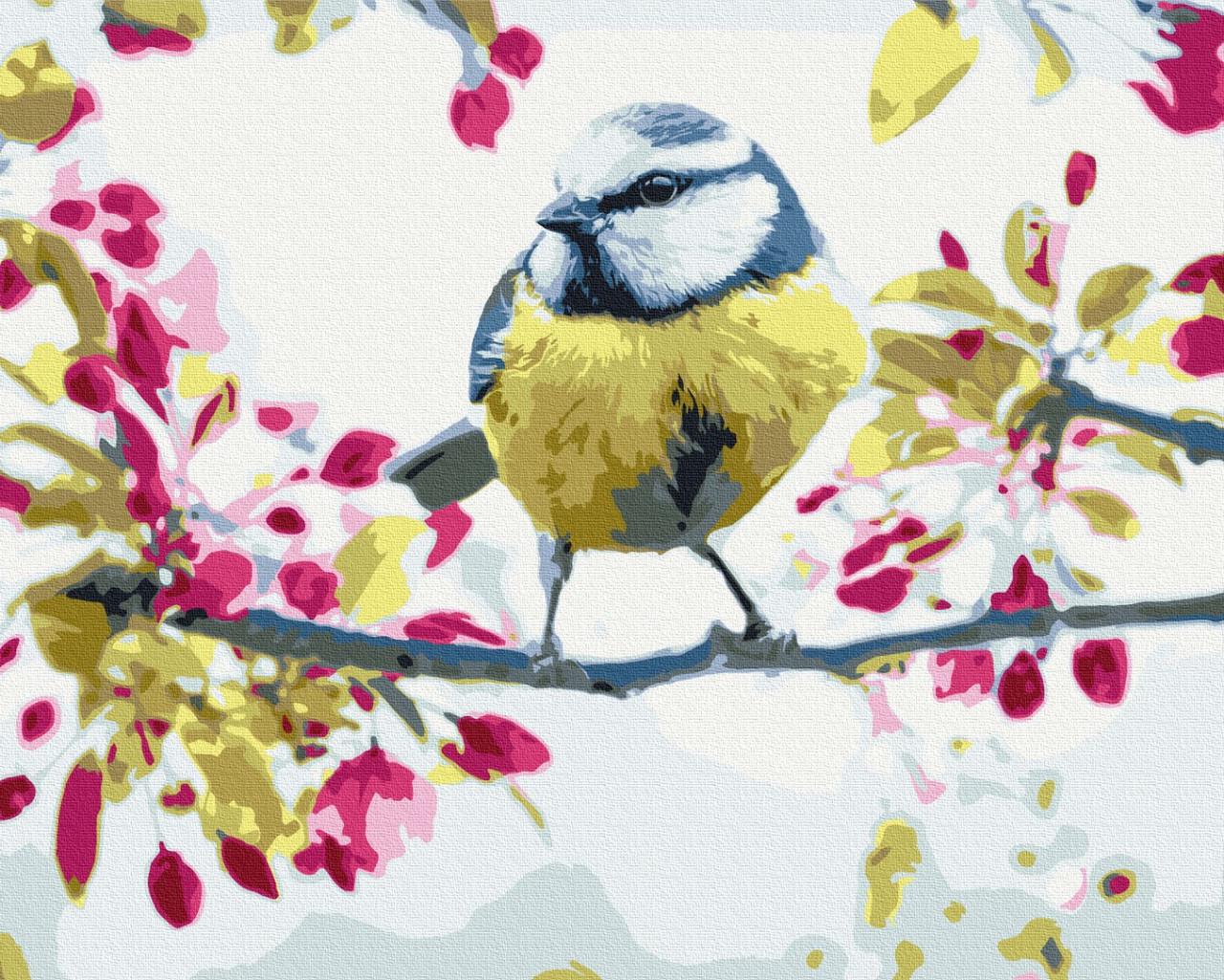 Картина по номерам Brushme Весенняя синичка 50x40 см (BS51439)