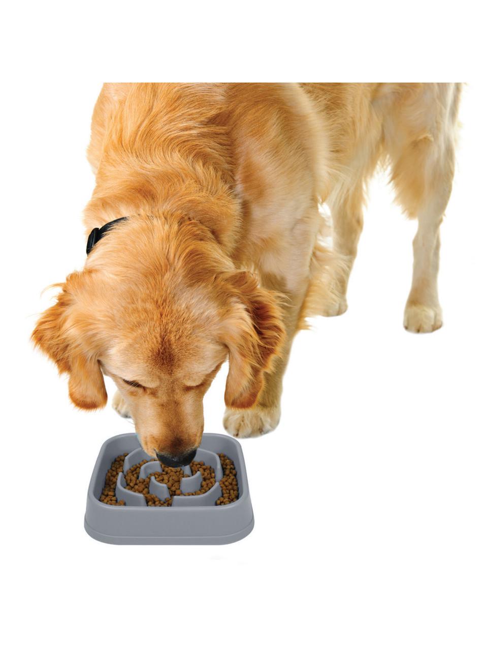 Миска для собак Dexas Slow Maze Feeder Dog Bowl для медленного кормления квадрат 960 мл Серый (PW304429) - фото 3