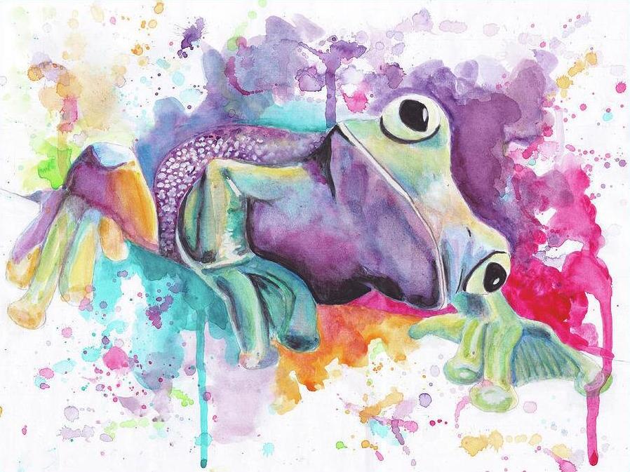 Алмазна мозаїка Emerald Craft Акварельная жаба 30x40 см (23361)