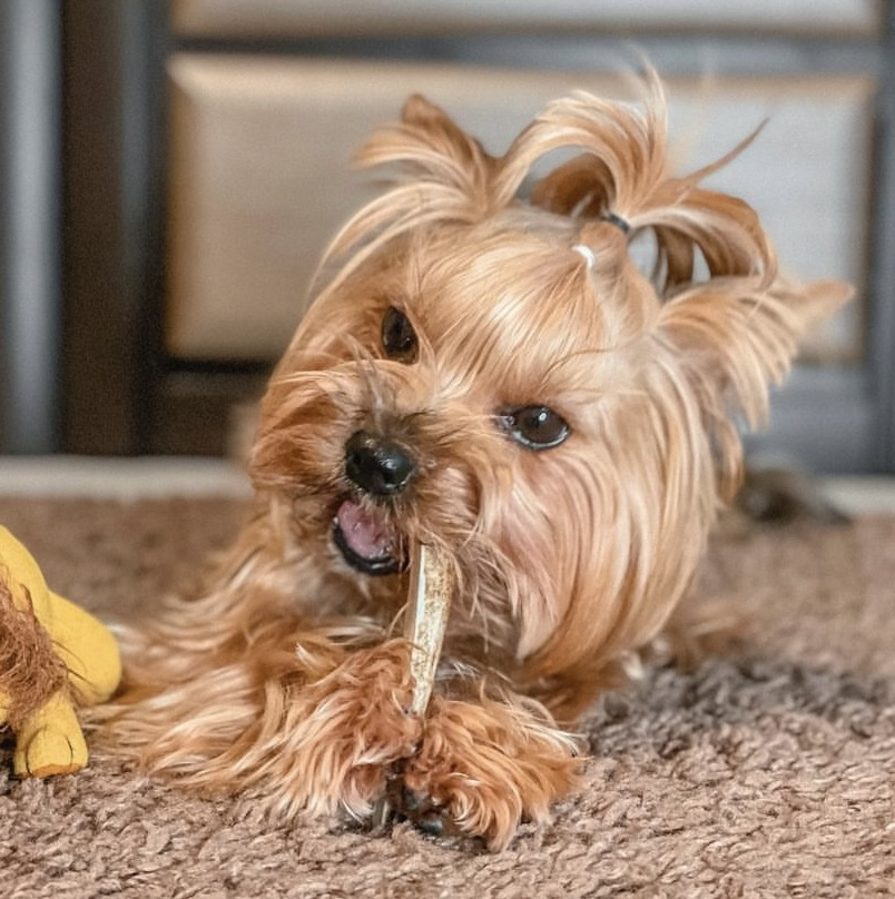 Сплит из рога оленя DogsRogs S 10 см (SplitS) - фото 2 Сплит из рога оленя DogsRogs S 10 см (SplitS) - фото 2