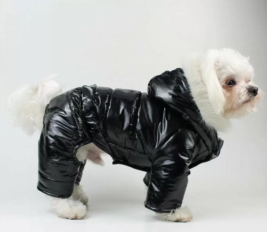 Комбинезон для собак зимний A-69 лакированный р. 2 Черный (75386778)