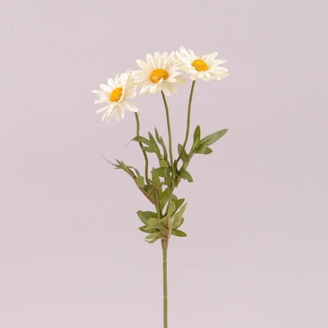 Цветок Маргаритка Flora Кремовый (72913)