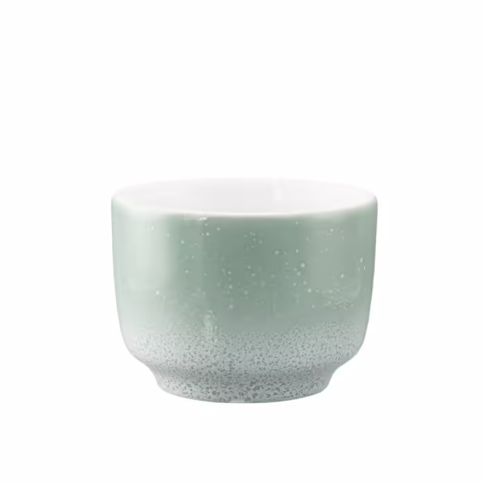 Чашка для капучино Seltmann Weiden без ручки Seltmann Weiden Sento Home Aura 300 мл Mint (2670300)