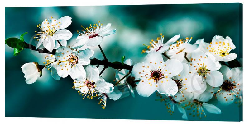 Картина на холсте Декор Карпаты ХХХХХ 50х100 см (c791)