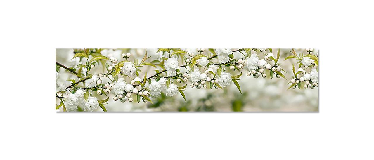 Кухонный фартук Белая сакура из самоклеющейся виниловой пленки 60х250 см Зеленый