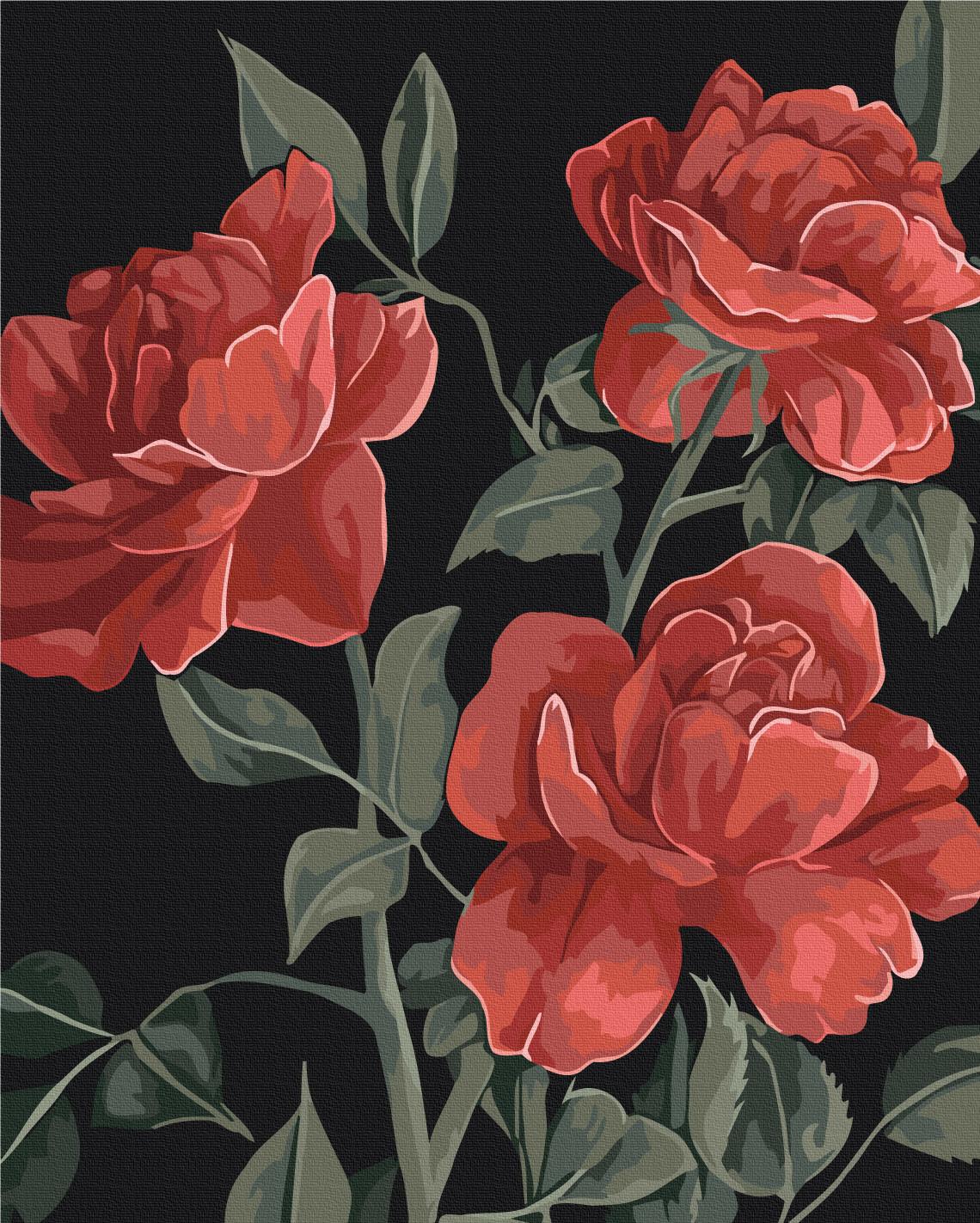 Картина по номерам Brushme Красное сердце сада 40x50 см (BS54306) Картина по номерам Brushme Красное сердце сада 40x50 см (BS54306)