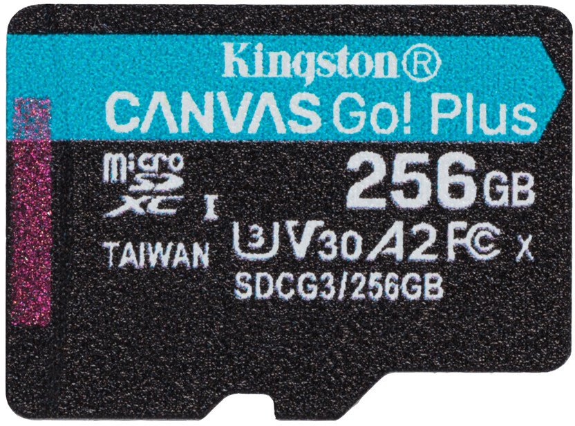 Карта памяти Kingston Canvas Go Plus 170R SDCG3 256 Гб (13cd17e7) - фото 1