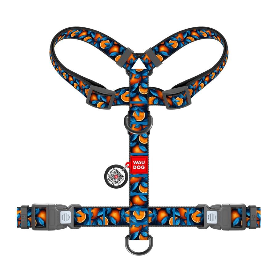 Шлейка для собак с QR-паспортом Waudog Nylon Апельсины анатомическая H-образная с пластиковым фастексом S 15 мм A 30-45 см/B 36-45 см Blue (343-4054) - фото 2 Шлейка для собак с QR-паспортом Waudog Nylon Апельсины анатомическая H-образная с пластиковым фастексом S 15 мм A 30-45 см/B 36-45 см Blue (343-4054) - фото 2