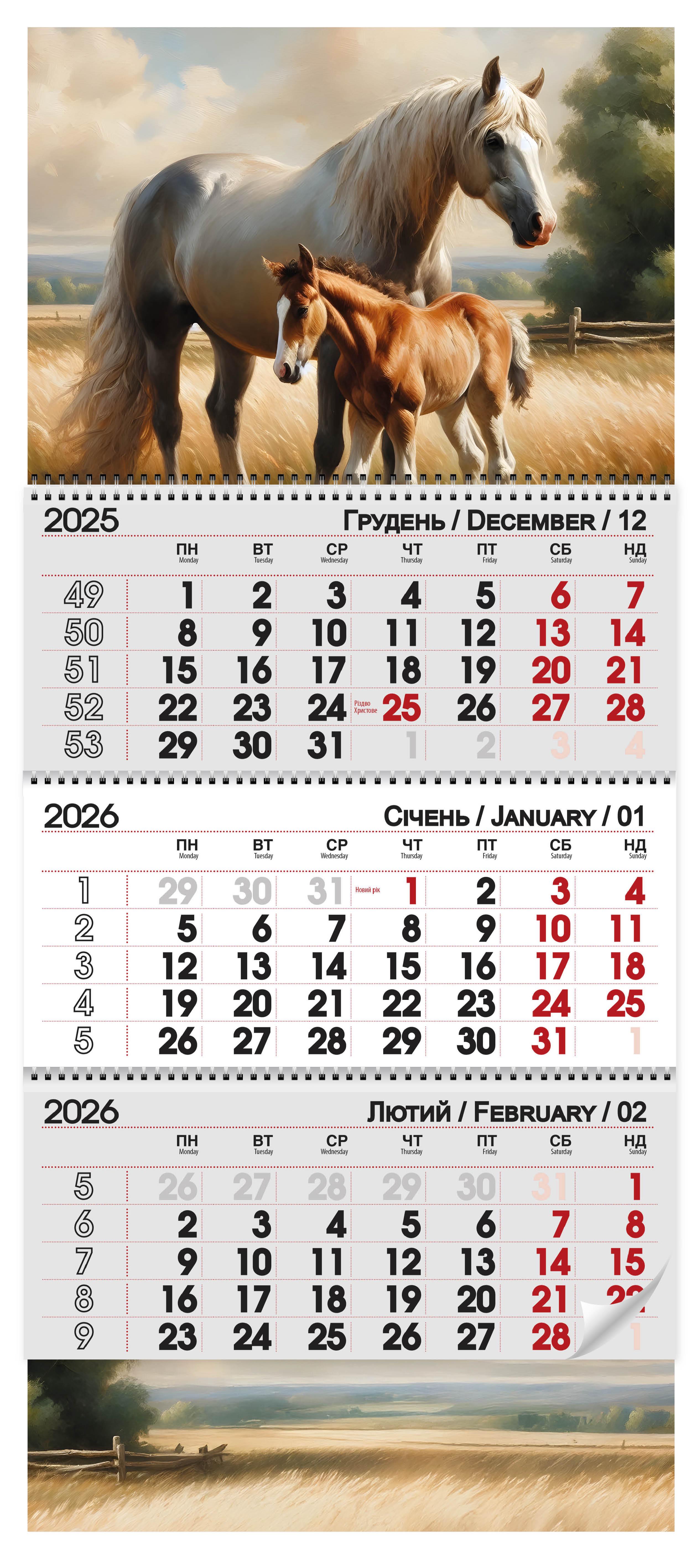Календар квартальний 2026 Символ року (30084569)