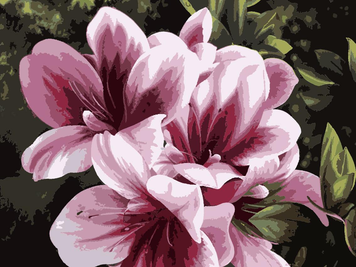 Картина по номерам Идейка Розовая лилия 30x40 см (skl-КНО2911)