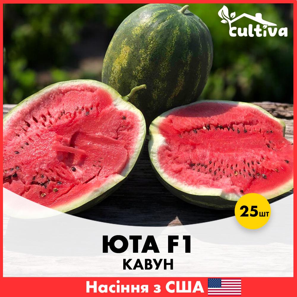 Насіння кавуну Spark Seeds Юта F1 25 шт. (jkl3-25)