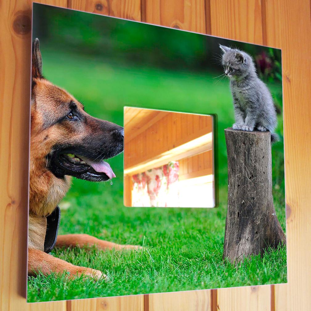 Зеркало декоративное Немецкая овчарка и котенок 260х260 мм (M03735)