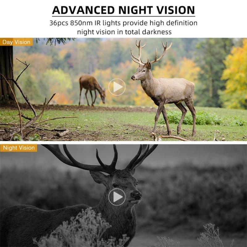 Камера фотоловушка Redleaf RD3069G 24MP/1080P 80° с поддержкой 4G (1480453286) - фото 5 Камера фотоловушка Redleaf RD3069G 24MP/1080P 80° с поддержкой 4G (1480453286) - фото 5