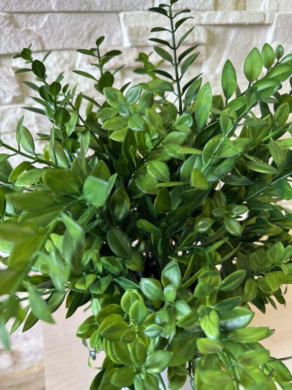 Вазон з штучним самшитом ПЛАСТМАКС (25087356) - фото 4