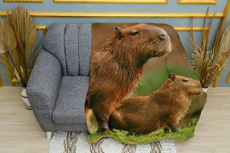 Плед Two cute capybaras плюш двухслойный 135х150 см (113490-2) Плед Two cute capybaras плюш двухслойный 135х150 см (113490-2)