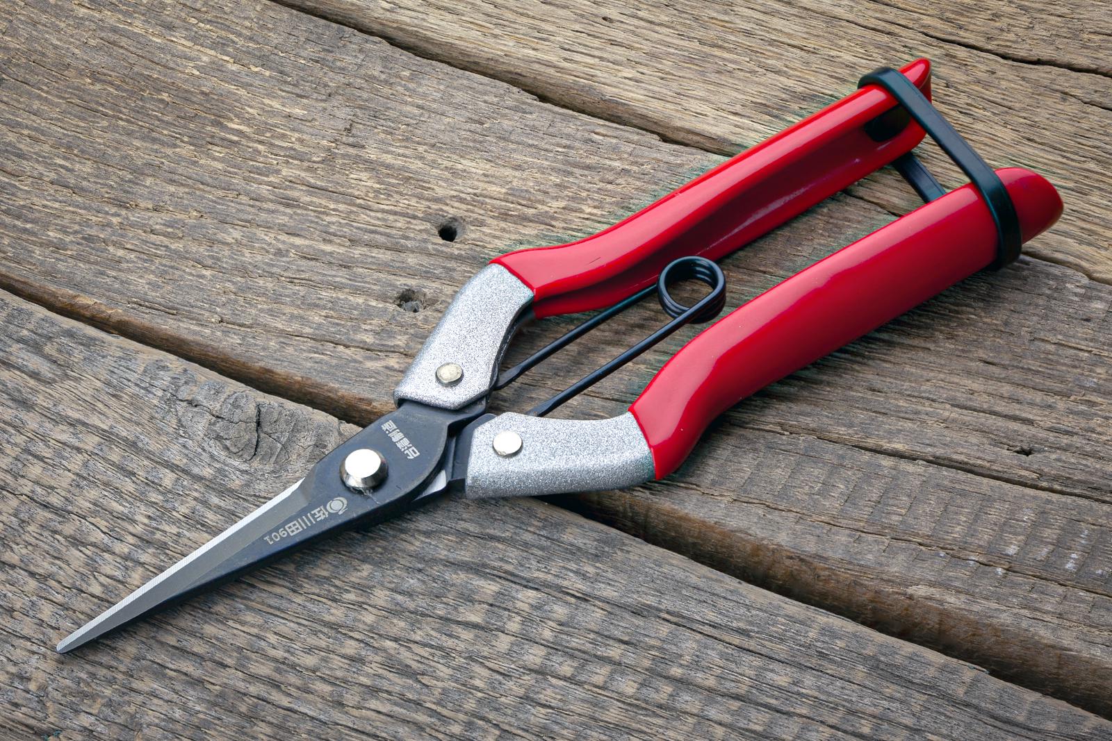 Ножиці садові Sagawata з нержавіючої сталі 185 мм (P-901) - фото 7 Ножиці садові Sagawata з нержавіючої сталі 185 мм (P-901) - фото 7