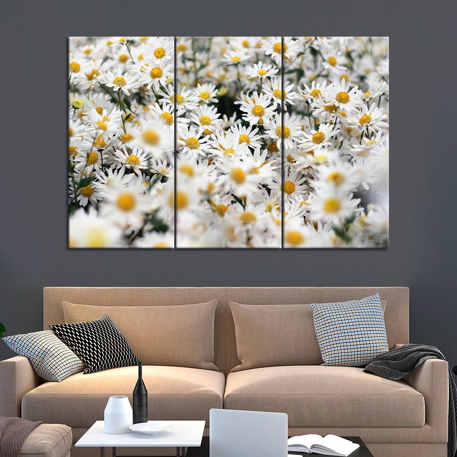 Картина цветы и растения Летнее поле ромашек 156x100 см (A992-3)