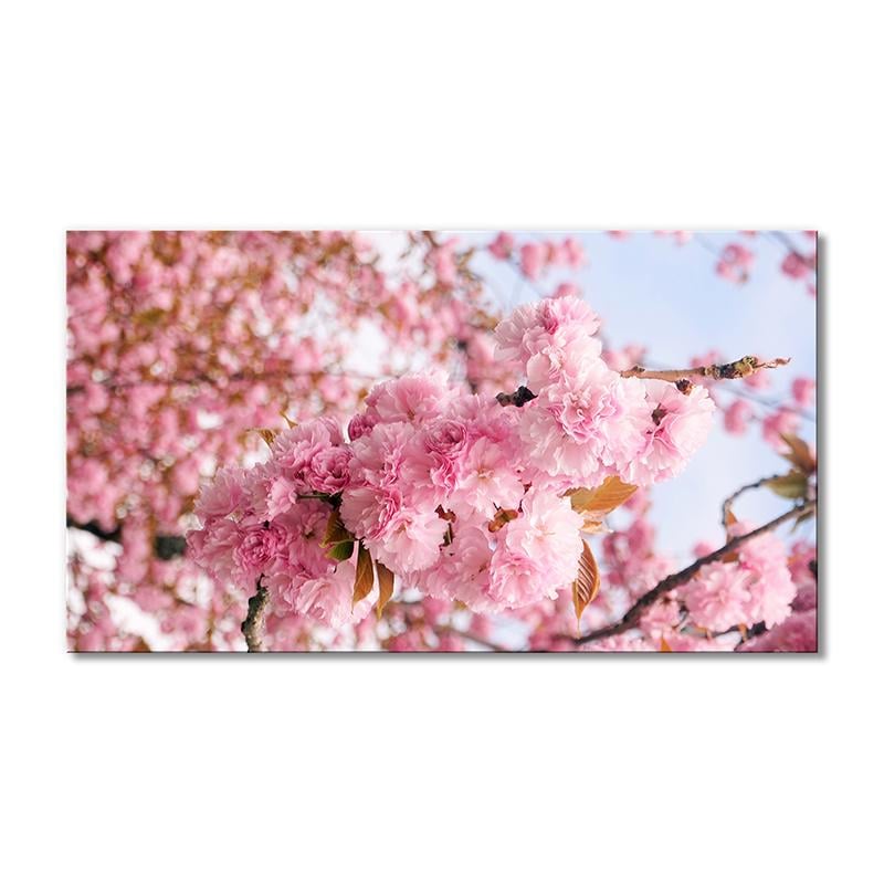 Картина модульная Ветка розовой сакуры 1 модуль 60x90 см