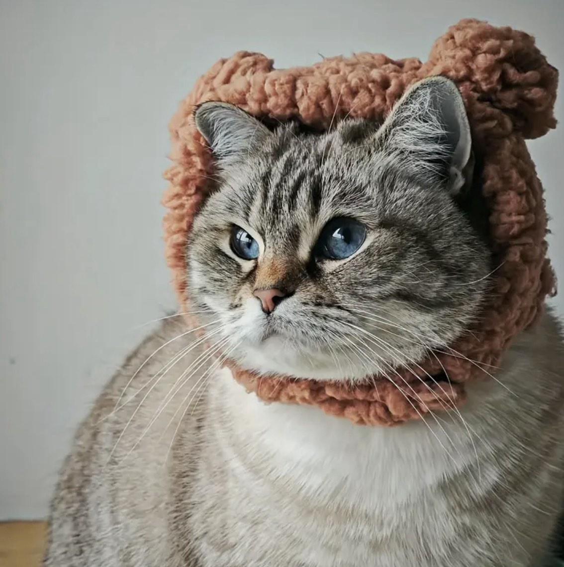 Шапка с ушками для кошек/собак Pet 2-4.5 кг Brown - фото 12