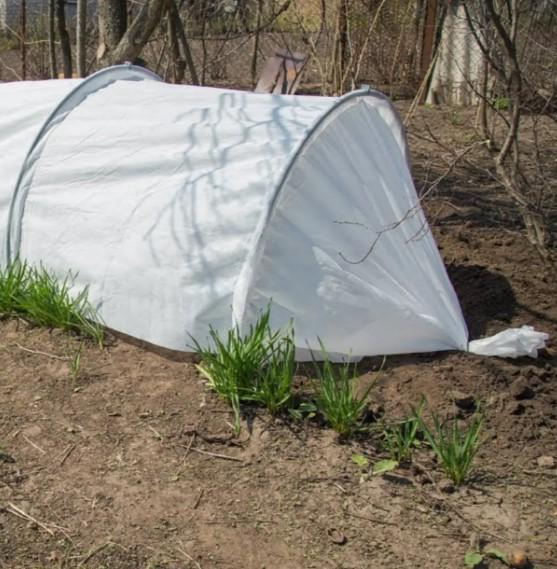 Теплица для дачи Shadow 60 г/м2 5 м (ПАВ000161) - фото 5 Теплица для дачи Shadow 60 г/м2 5 м (ПАВ000161) - фото 5