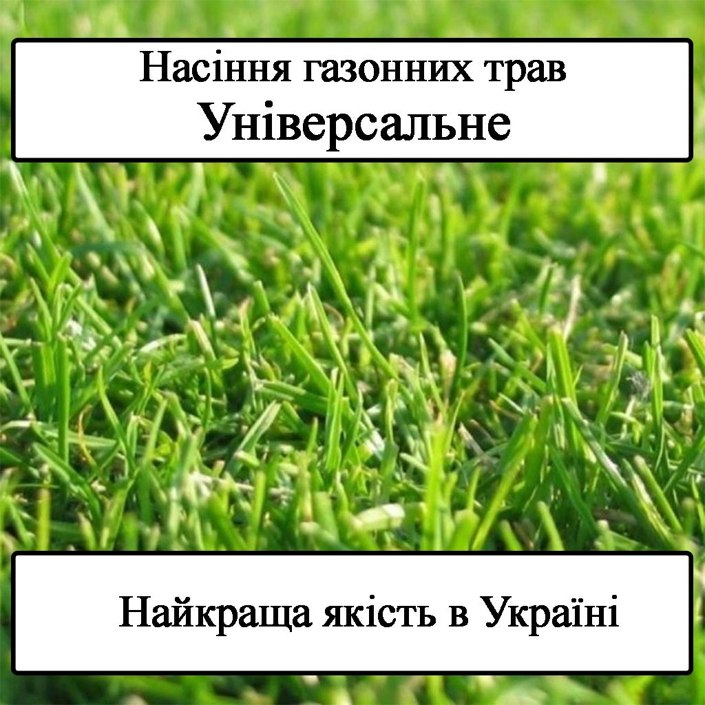 Насіння газонної трави GreenHome універсальна 1 кг - фото 3