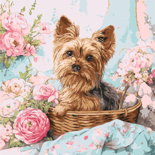 Картина за номерами Ideyka Йорк у кошику 40x40 см (Id-KHO6797)