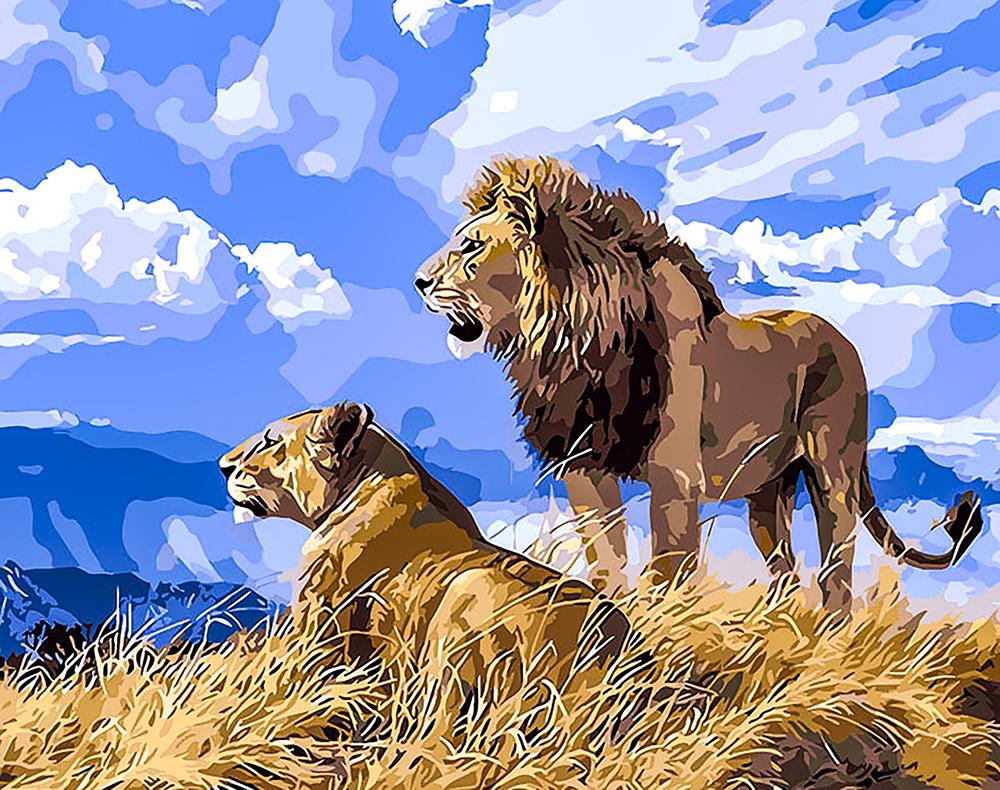 Картина по номерам "Лев и львица" 50x40 см (РНК-078)