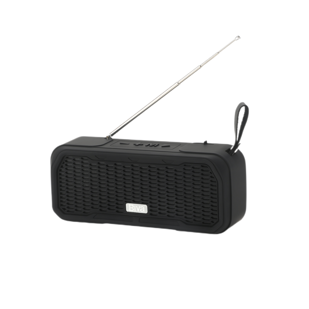 Портативная колонка Biva SP-03 Bluetooth/FM Radio Speaker Black