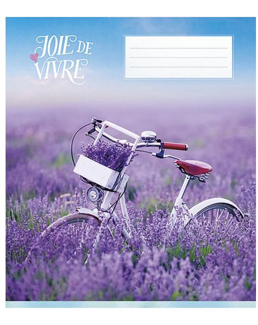 Школьная тетрадь в клетку Школярик 60 листов (e150e)