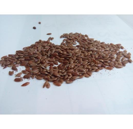 Сушеные плоды льна Herbs Zaporoje 5 кг (С0092)