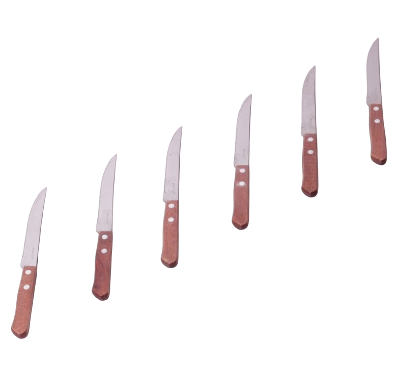 Набор стейковых ножей Kamille из нержавеющей стали с деревянными ручками 6 пр. (a5300)