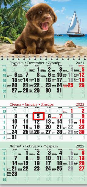 Календарь настенный квартальный МАРКО на 2022 год офисный 2 Щенята (офіс2-16 2022)