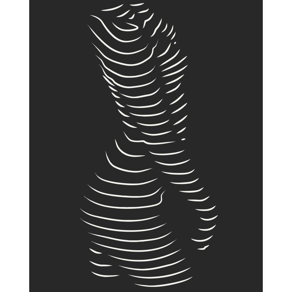 Картина по номерам ART CRAFT Обольстительный силуэт 40x50 см (10117-AC)