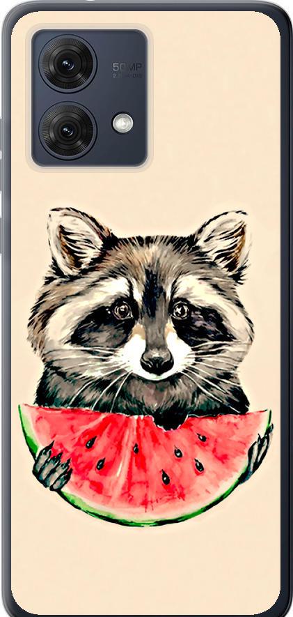 Чехол на Motorola Moto G84 Енотик с арбузом (4605u-3344-42517)
