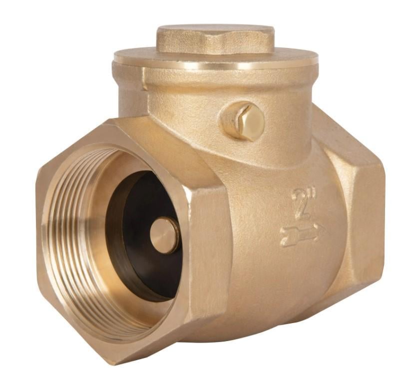 Зворотний клапан пелюстковий Thermo Alliance Standart 2" ВВ низького тиску (SD242W50)