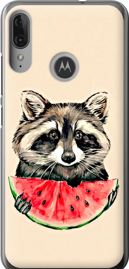 Чехол на Motorola Moto E6 Plus Енотик с арбузом (4605u-1780-42517)