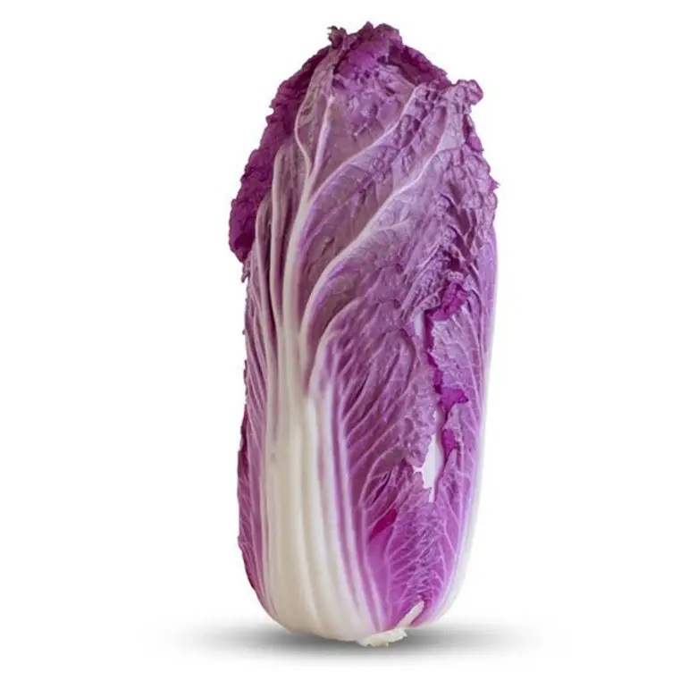 Семена Капуста пекинская Ямада F1 Kitano Seeds (2388723989)