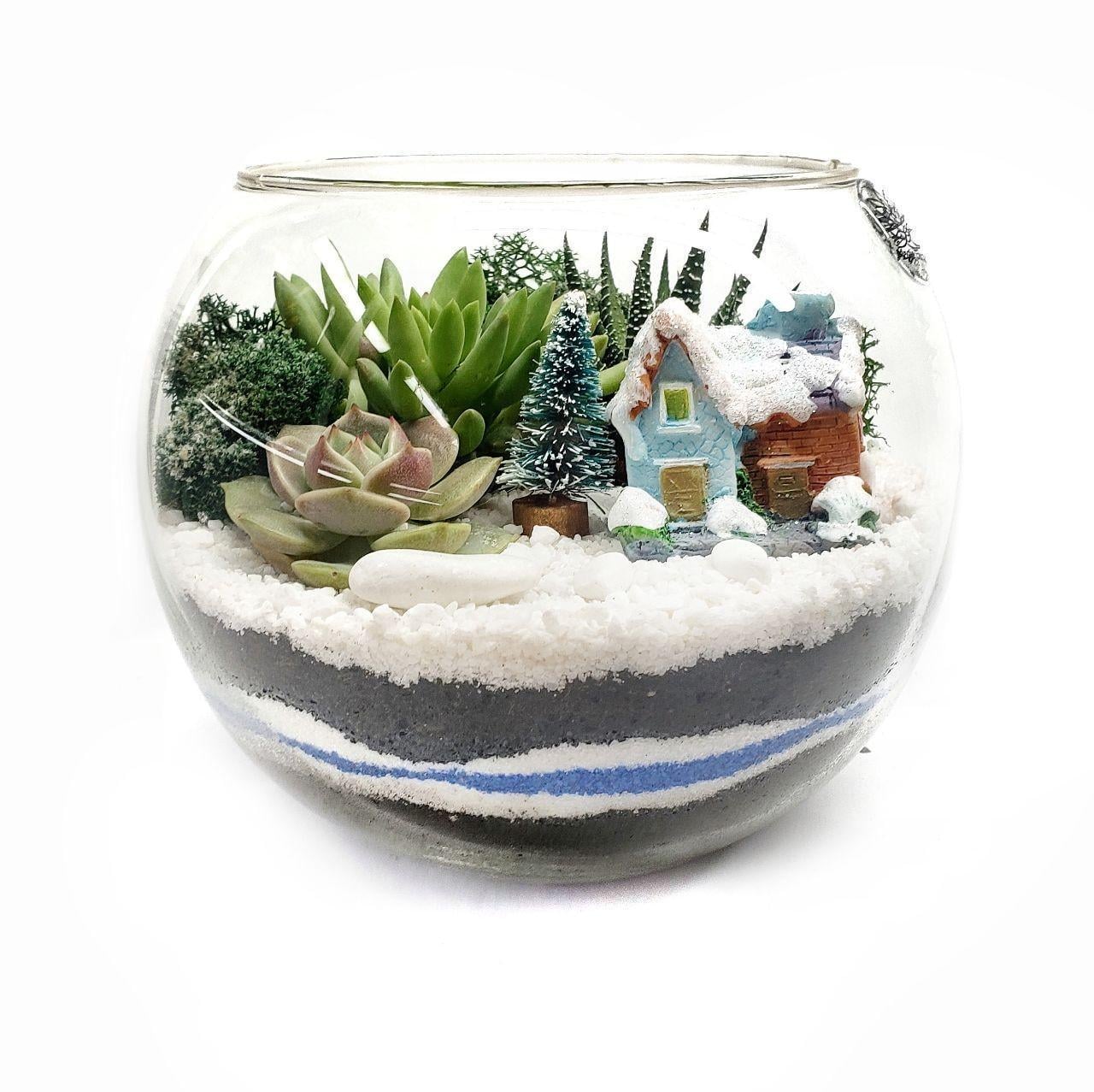 Флорариум новогодний со снегом и суккулентами Домик 15х11 см